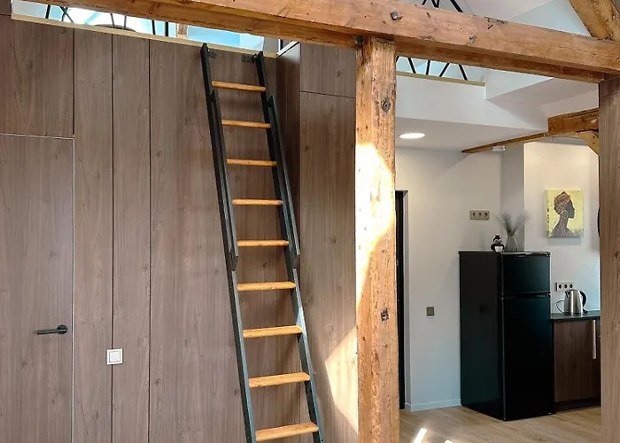 Oasis Next To A Park *